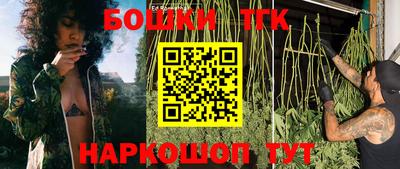 СК Краснознаменск