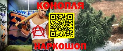 spice Краснодар