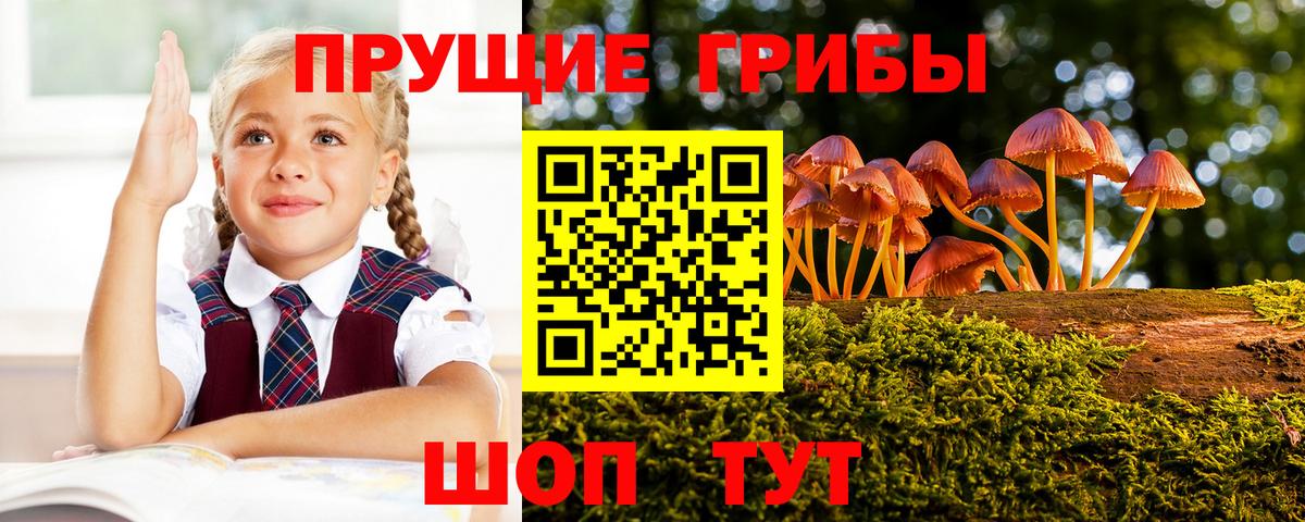 Галлюциногенные грибы мицелий Камень-на-Оби
