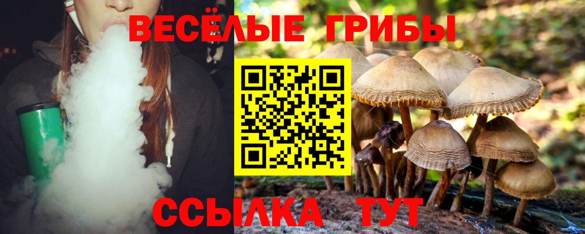 Гашиш Камень-на-Оби