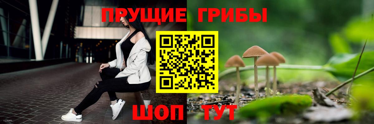 Галлюциногенные грибы мицелий  Галлюциногенные грибы прущие грибы  Вход с VPN  Камень-на-Оби 